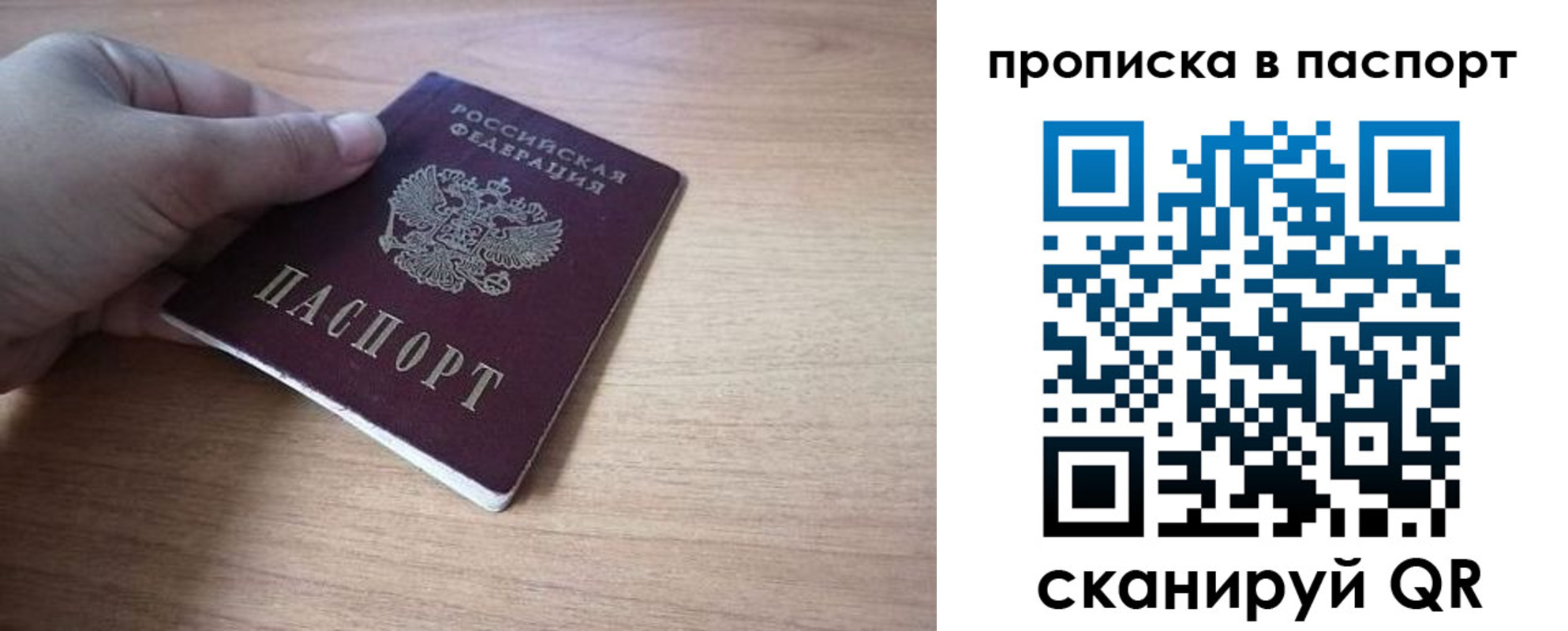 прописка для школы в Михайловке